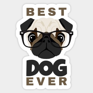 Best Cute Dog Ever Sticker